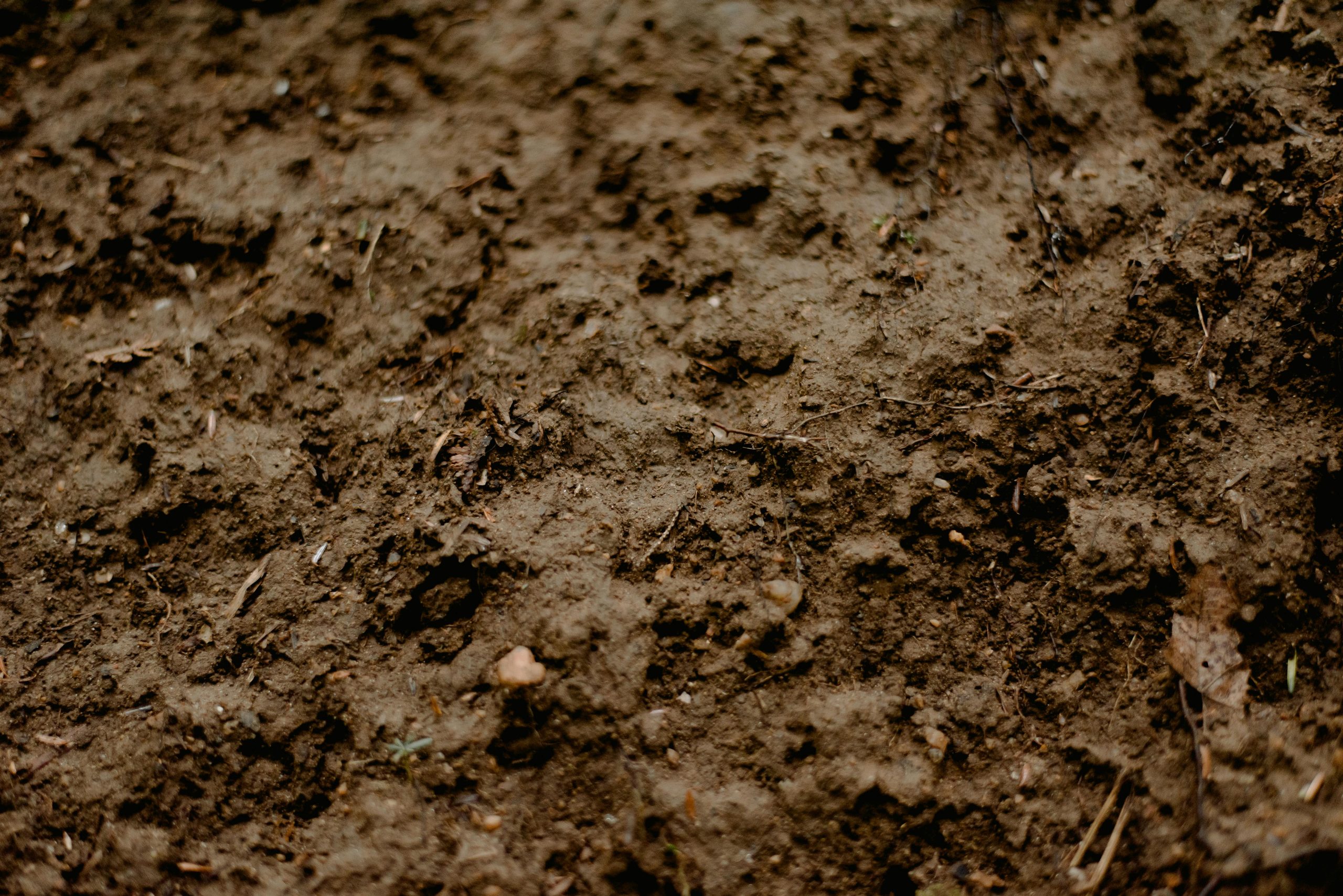 Compost & Top Soil - Anaconda Equipment